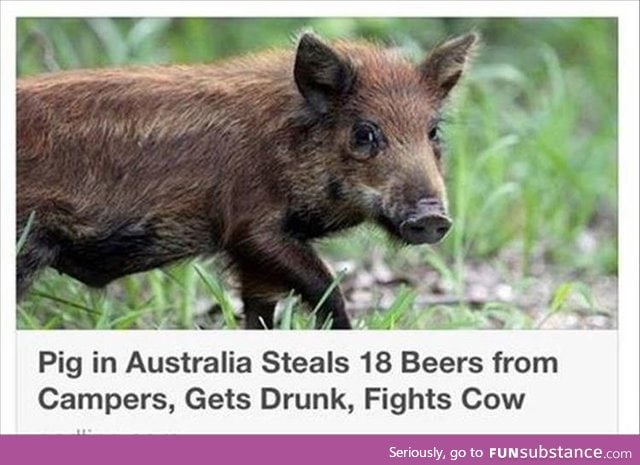 Australia in a nutshell