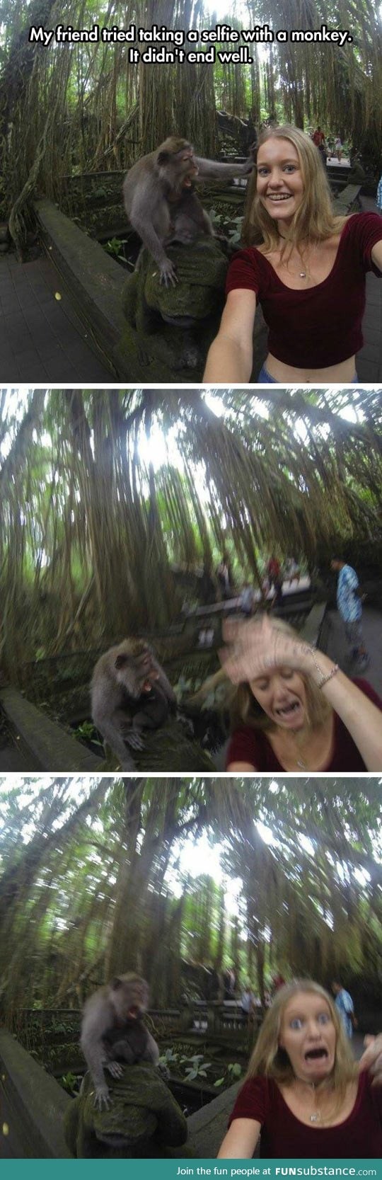 When your monkey selfies go wrong