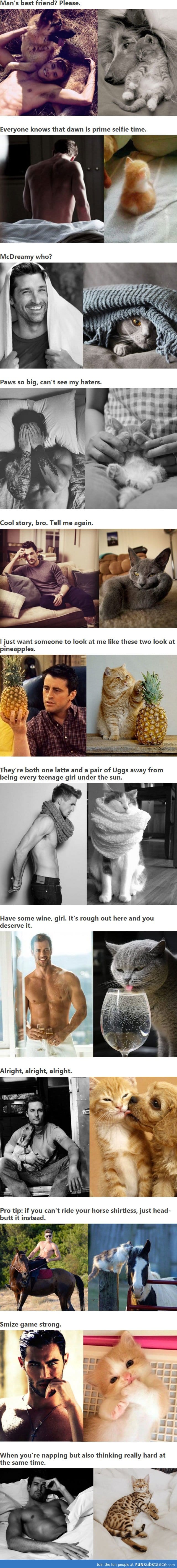 Using Cats To Replicate The Poses Of Attractive Guys