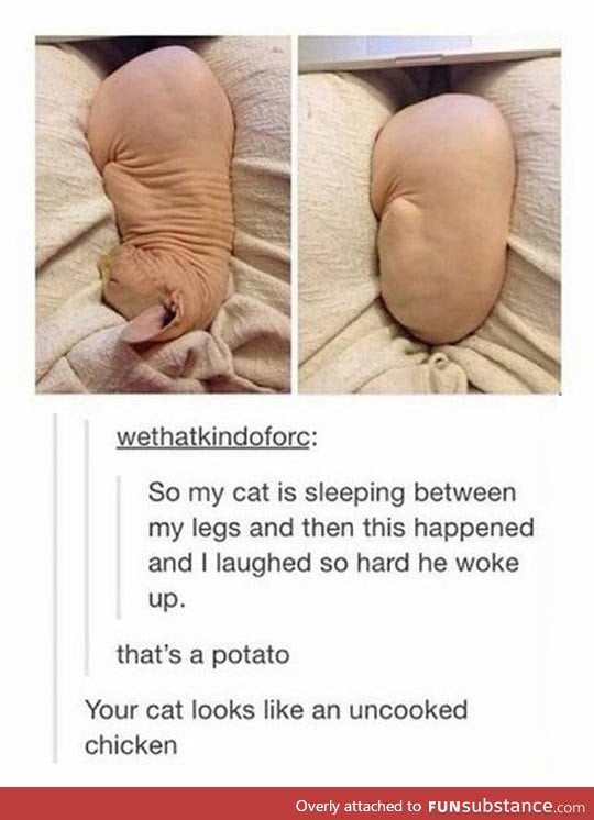 That's A Potato