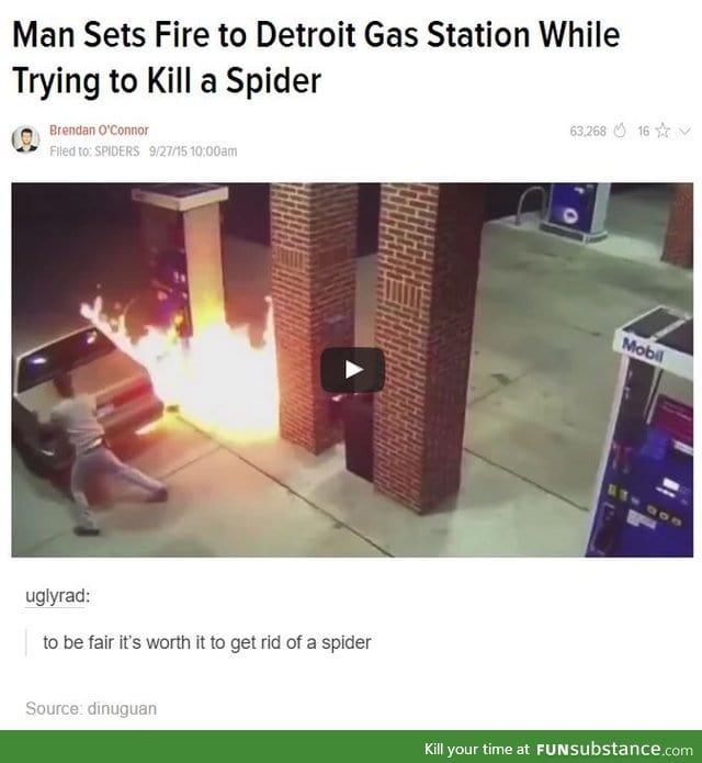 Set fire to the whole gas station cause there's a spider