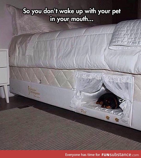 A bed with a place for your dog