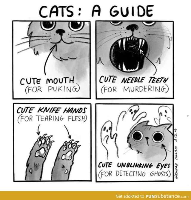 Cat guide