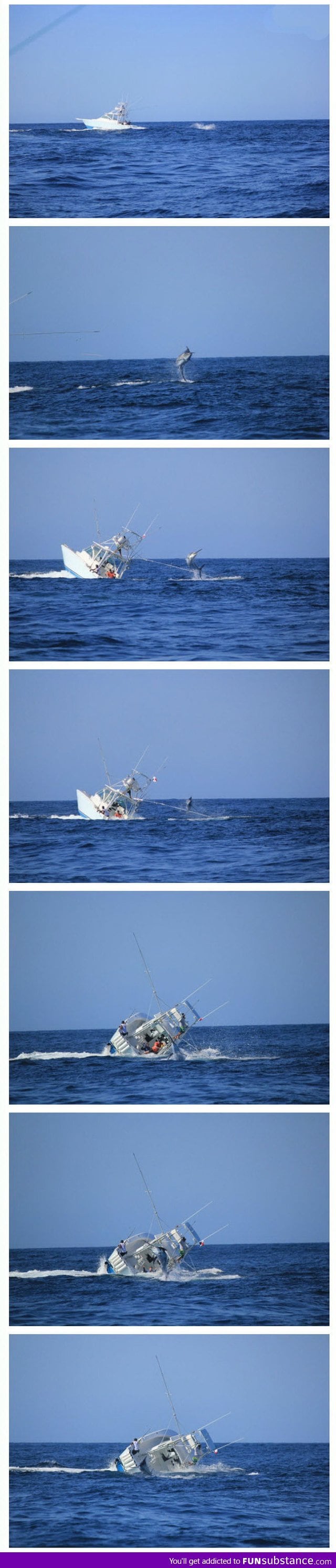 Swordfish sinks a boat