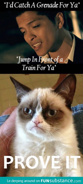 Grumpy Cat Listens to Bruno Mars