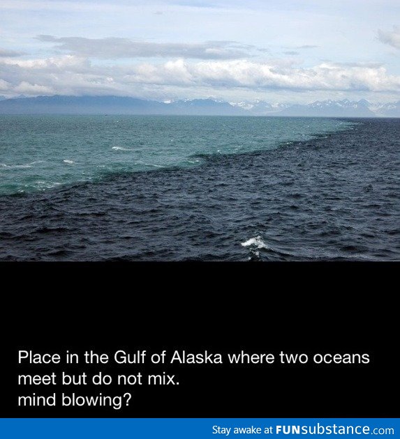 Mind blowing Gulf of Alaska fact