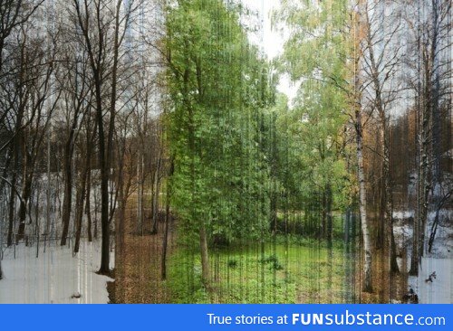 A picture made of 365 slices. Each slice is a day of the year