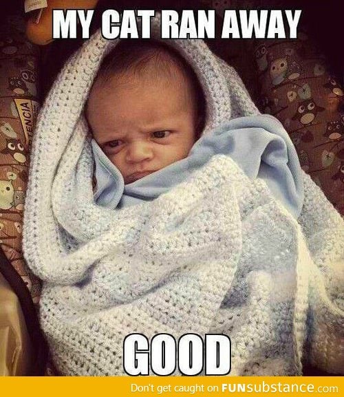 New Grumpy Baby Meme Maybe