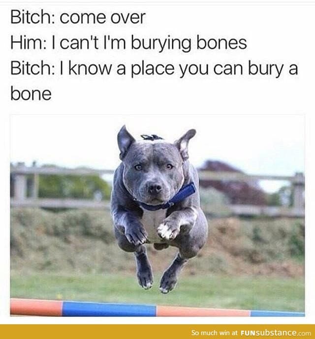 Dog come over