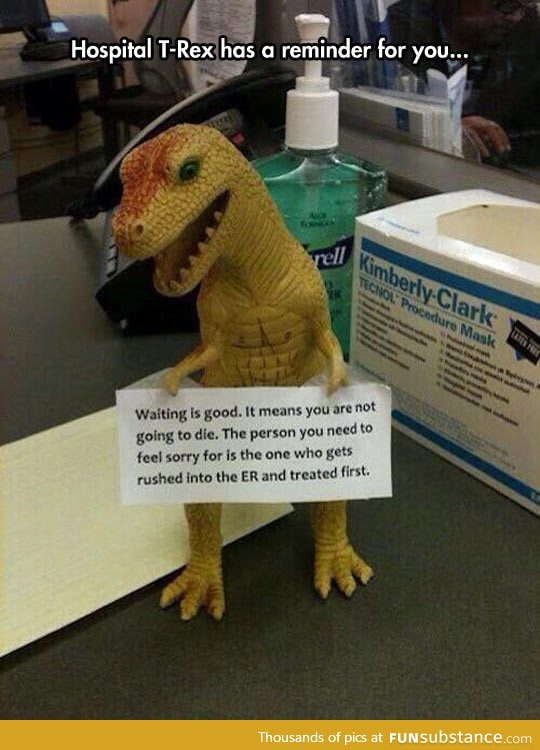 Hospital t-rex has a message