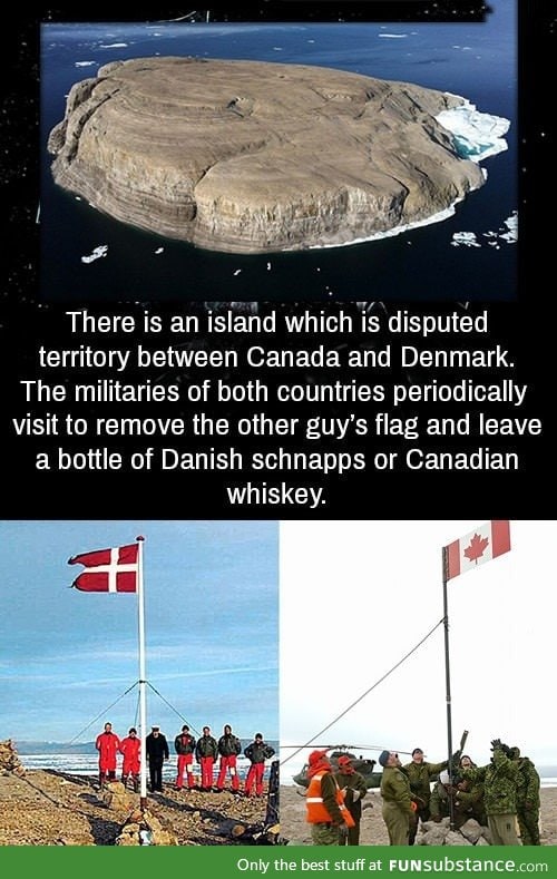 Danish and Canadian ladies & gentlemen