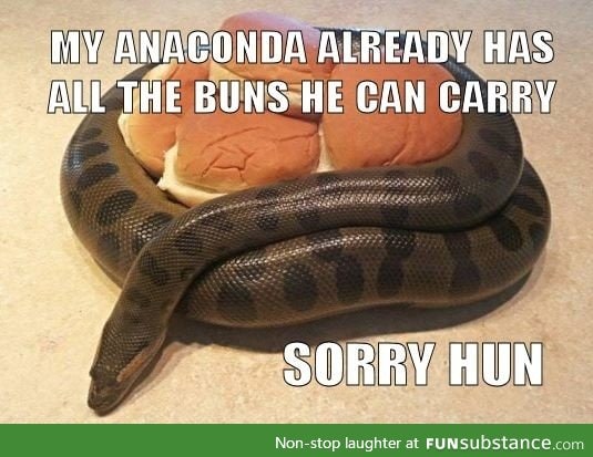 Self-sufficient anaconda don't want none even if you DO have buns.