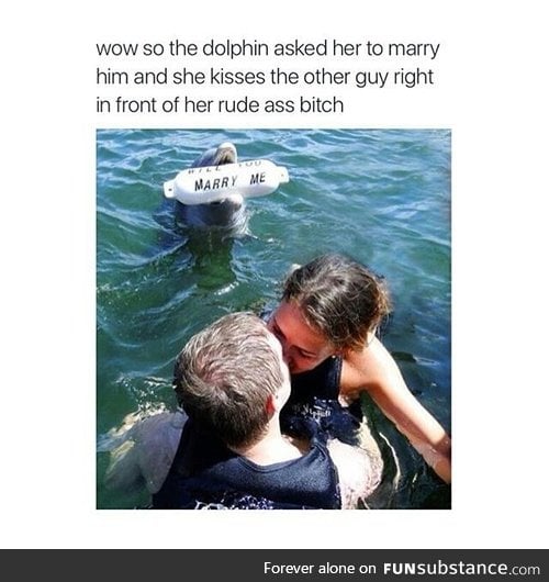 Poor dolphin