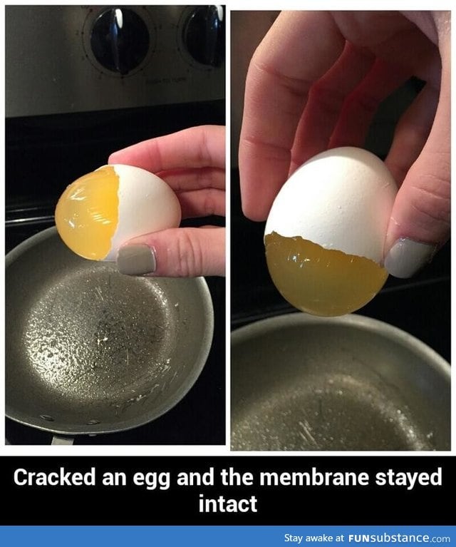 Egg's membrane is still intact