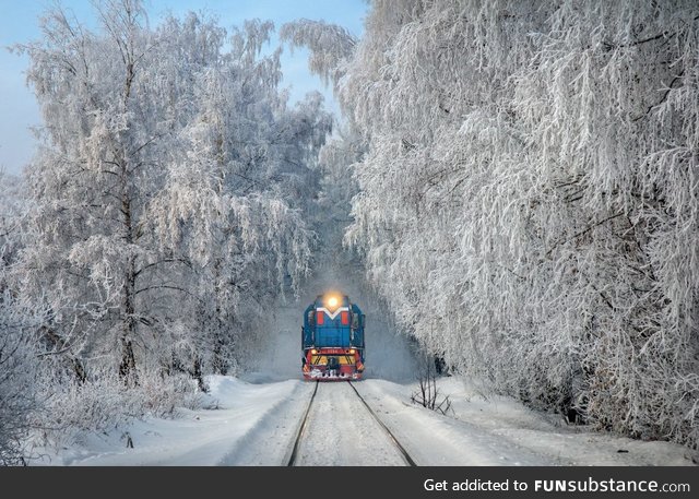 Perfect shot - Russia, Winter 2016