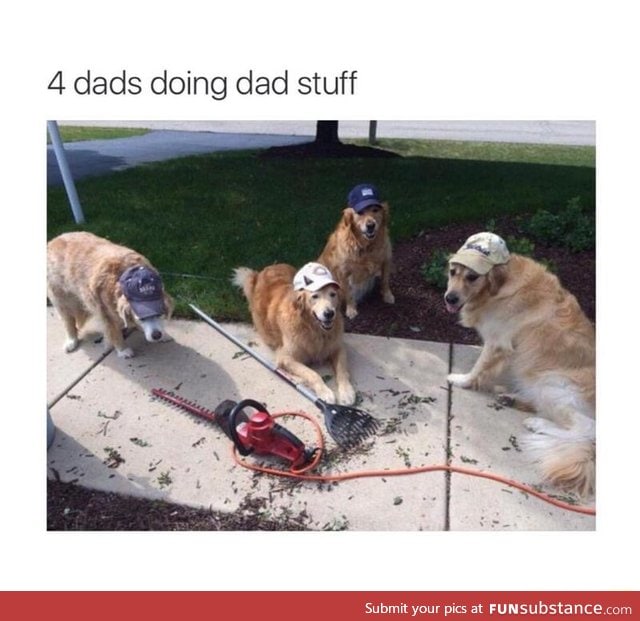 Dog doing dad stuff