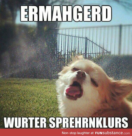 Dog vs. Sprinklers