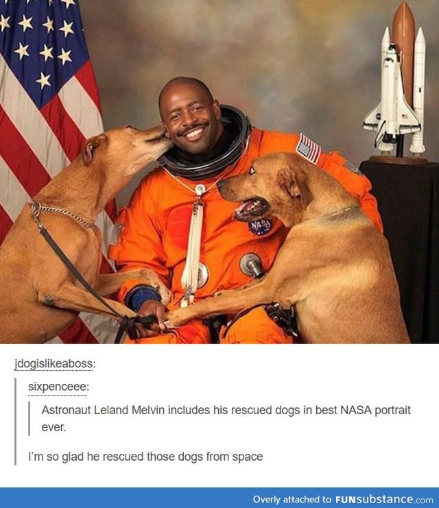 Saving dogs from space