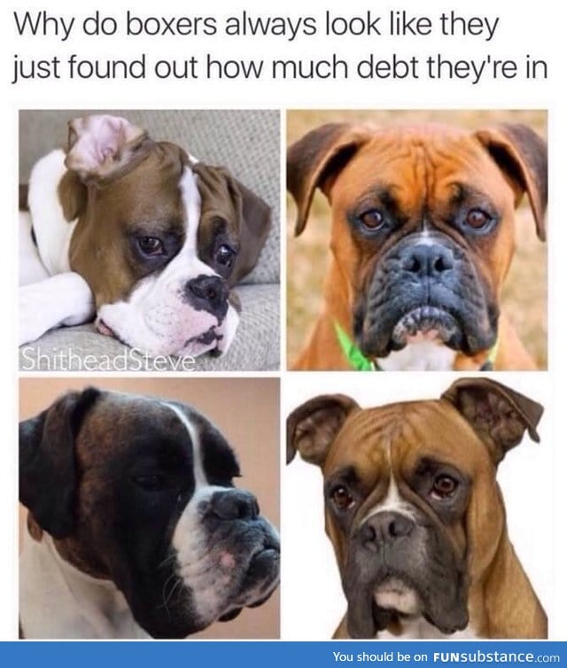 Boxers in debt