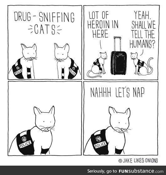 Drug-sniffing cats