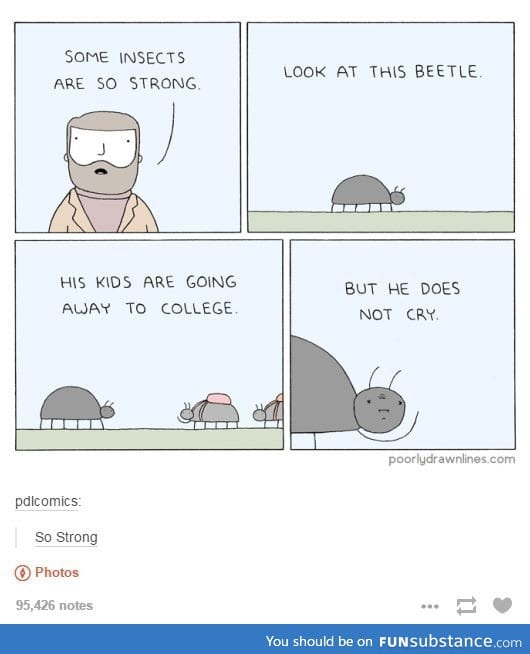 Emotionally Strong Beetle