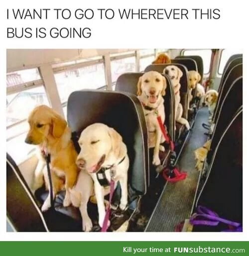 I wanna be on the this bus