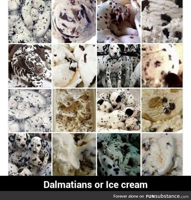 Dalmatians or Ice Cream?