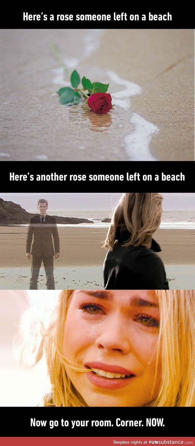 Here's a rose someone left on a beach