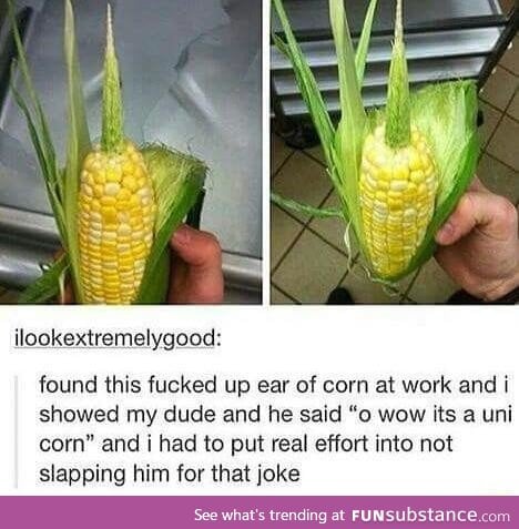 What type of corn is this?