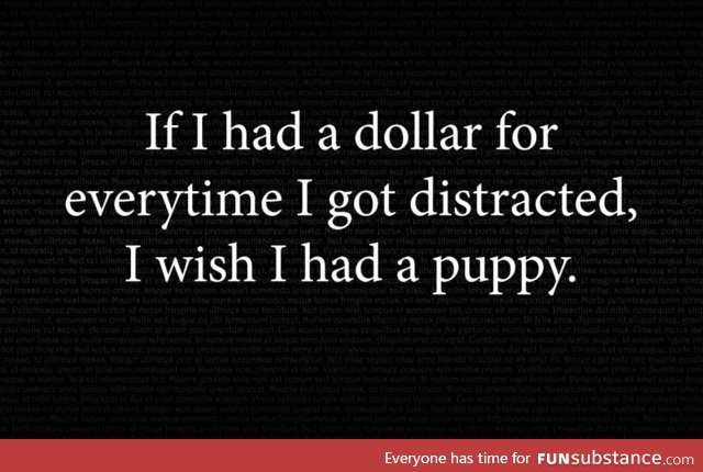 I wish I had a puppy too!