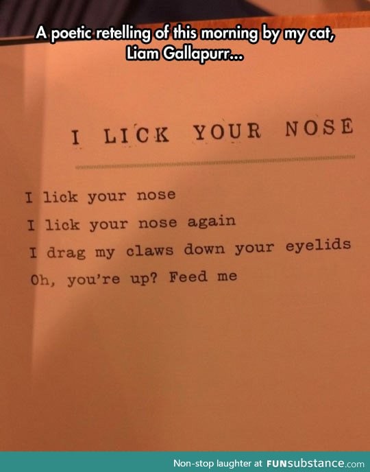 I lick your nose poem