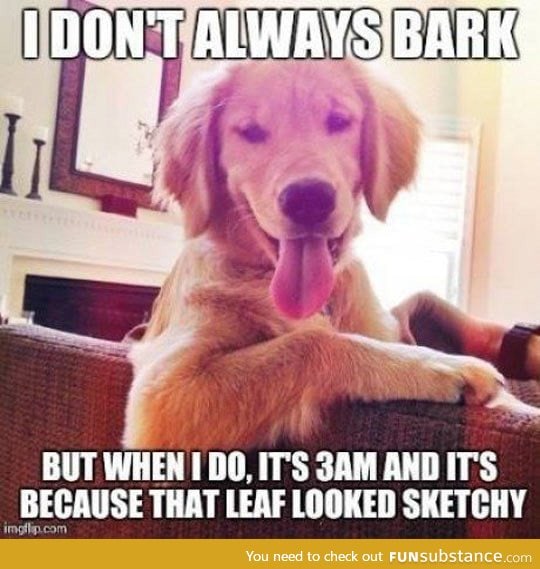 Barking dog logic