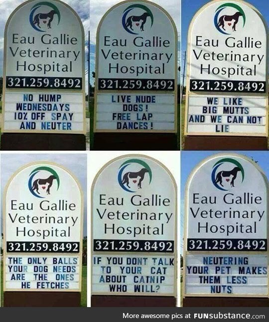 Clever vet