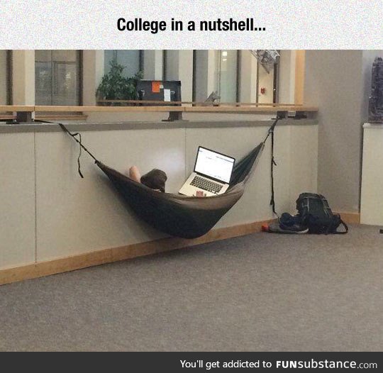 Should have done this in college