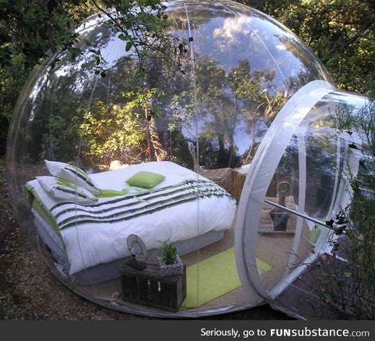 Would you sleep in this bubble bed surrounded by nature?