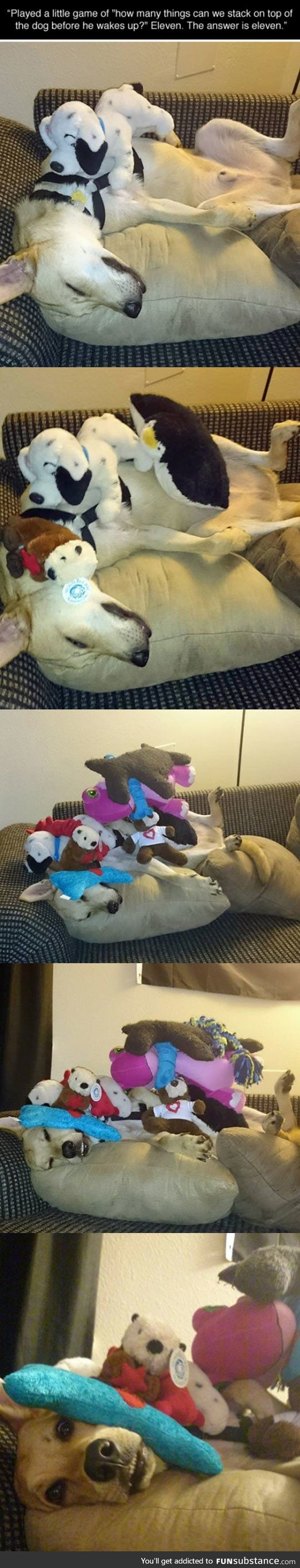 Dog Stacking Game