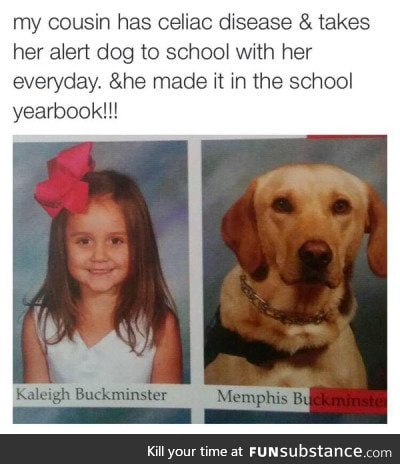 Dog in yearbook