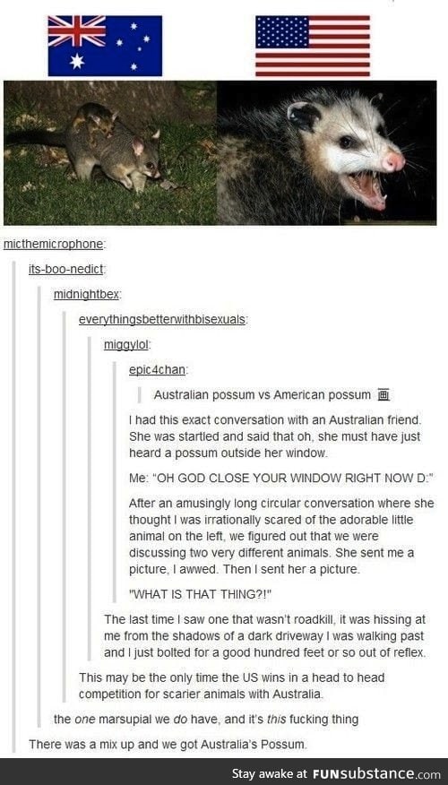 Possums. How do they work?