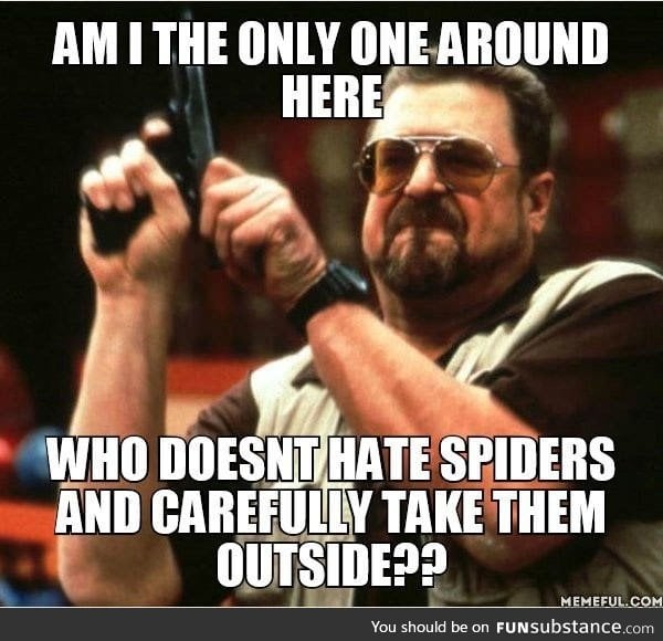 Why spiders?!?!