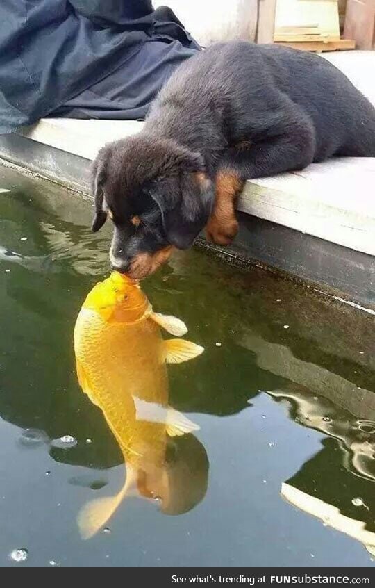 Unexpected kiss