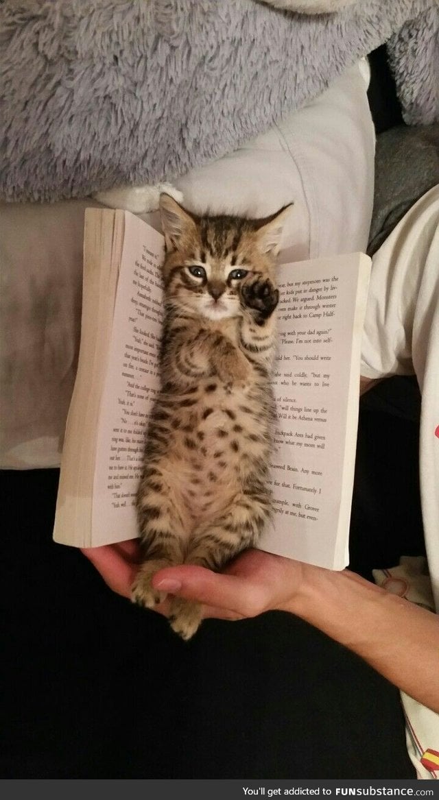 May not be the most effective bookmark, but definitely the cutest