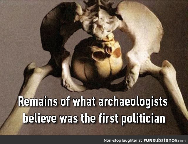 An extraordinary archaeological find!