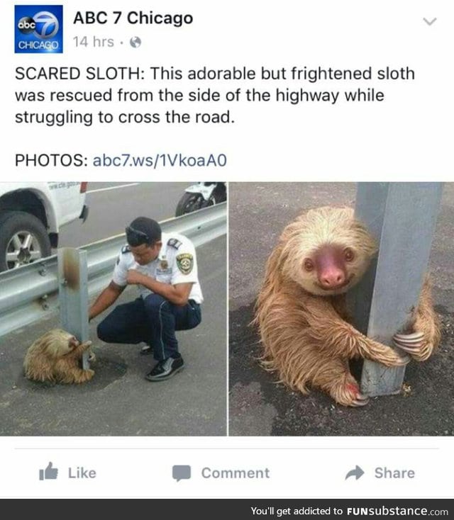 I relate to this sloth