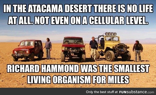 The smallest living organism in the desert (Top gear humor)