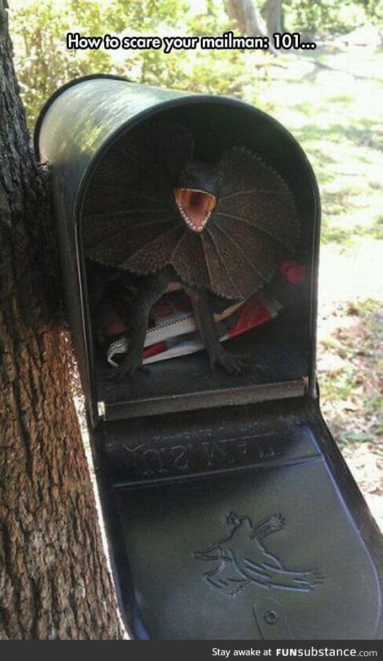 How to never get mail again