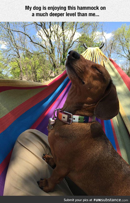 Enjoying the new hammock
