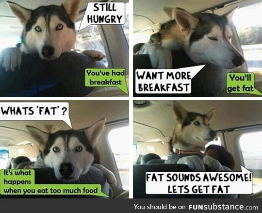 What's Fat?