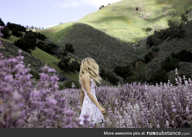 In pursuit of poppies and all we found was this lousy wildflower field