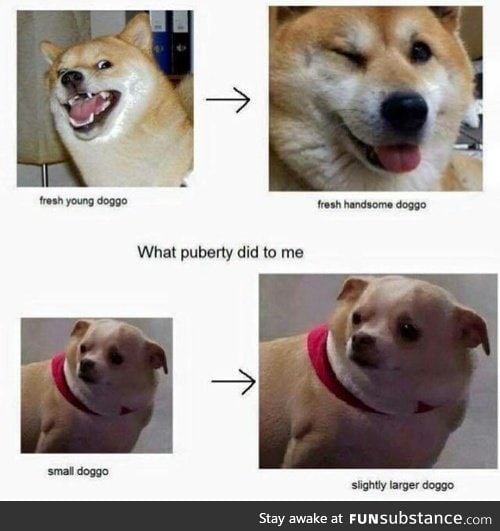 Puberty