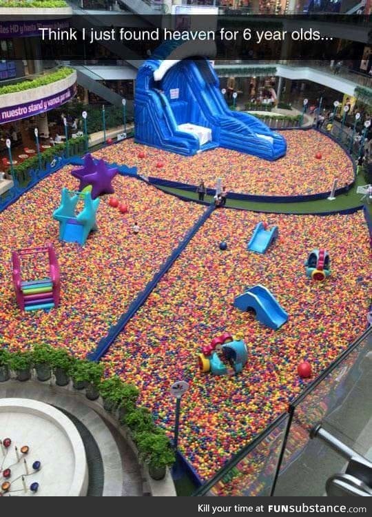 Forget 6 year olds, I would love this place.